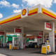 Image for article titled Shell Announces Plans To Plant Single Tree For Every Irreversible Planetary Disaster It Causes